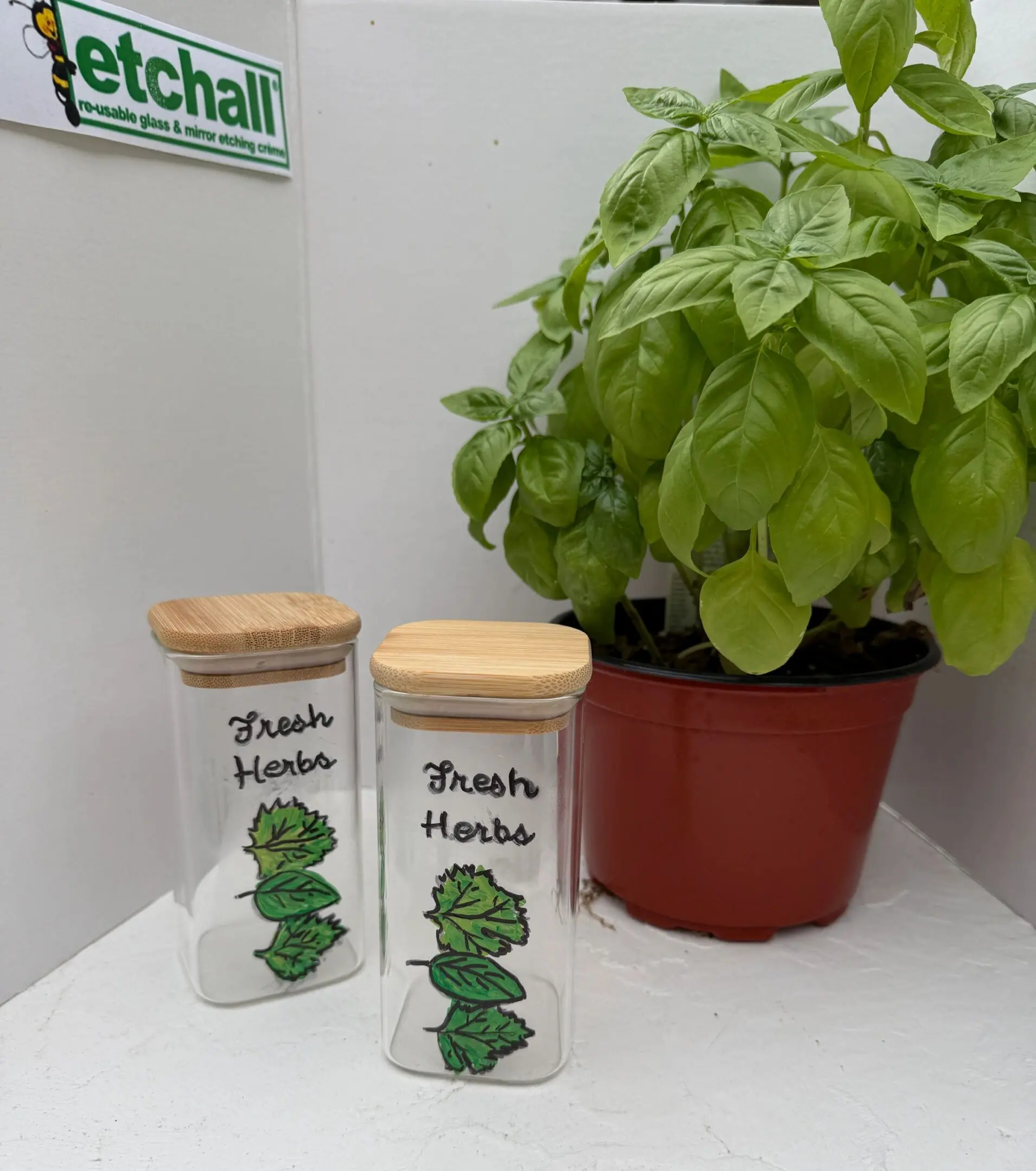 Herb jars beside potted basil plant