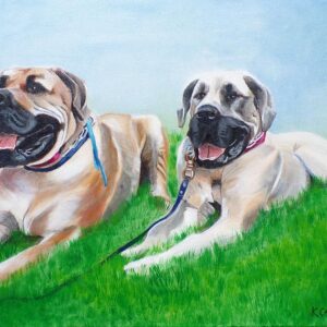 Bull Mastiffs