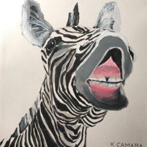 Ha Ha Zebra