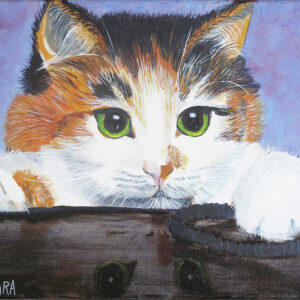 Kitty Reflections