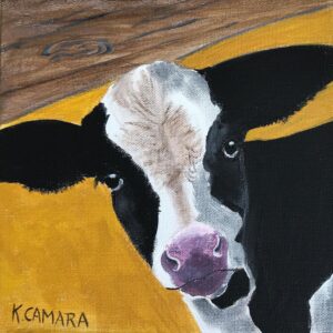 Moo Cow
